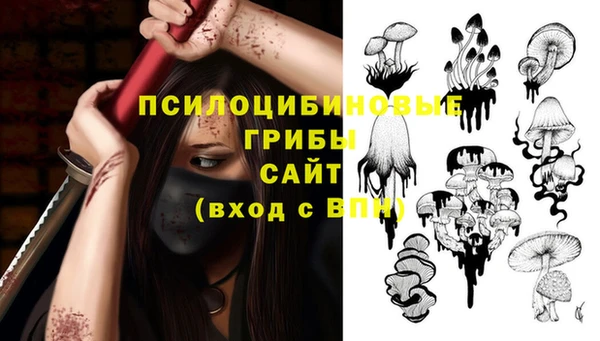 стаф Медвежьегорск