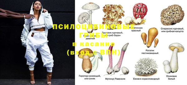 прущий лед Магас