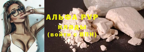 соль ск Архангельск