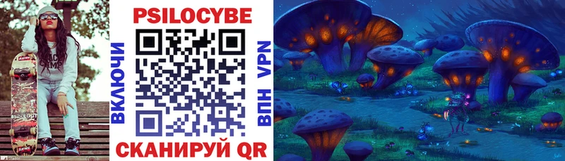 Купить где  Перевоз  Галлюциногенные грибы GOLDEN TEACHER 